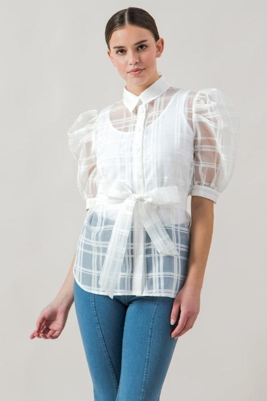 See-thru Mini Length Organza Top