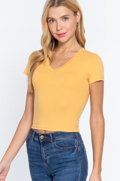 Short Sleeve V-neck Crop Top